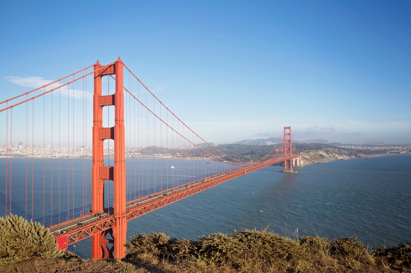 San Francisco Bridge - Erica Melissa